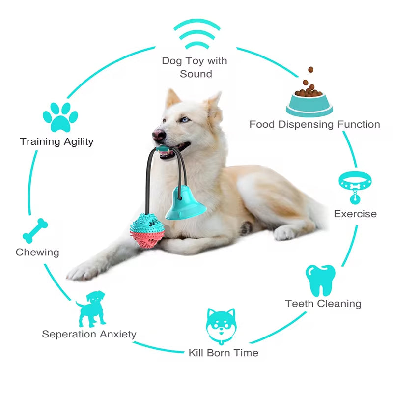 Dog Chew Toy β Interactive Slow Feeder & Teeth Cleaner