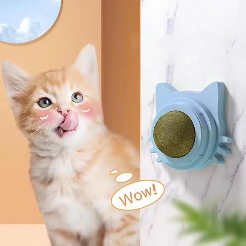 Catnip Ball β Interactive Toy & Teeth Cleaner for Cats