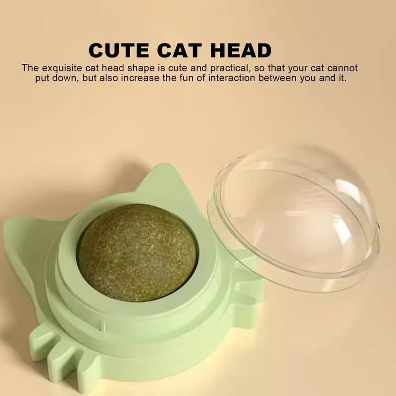 Catnip Ball β Interactive Toy & Teeth Cleaner for Cats