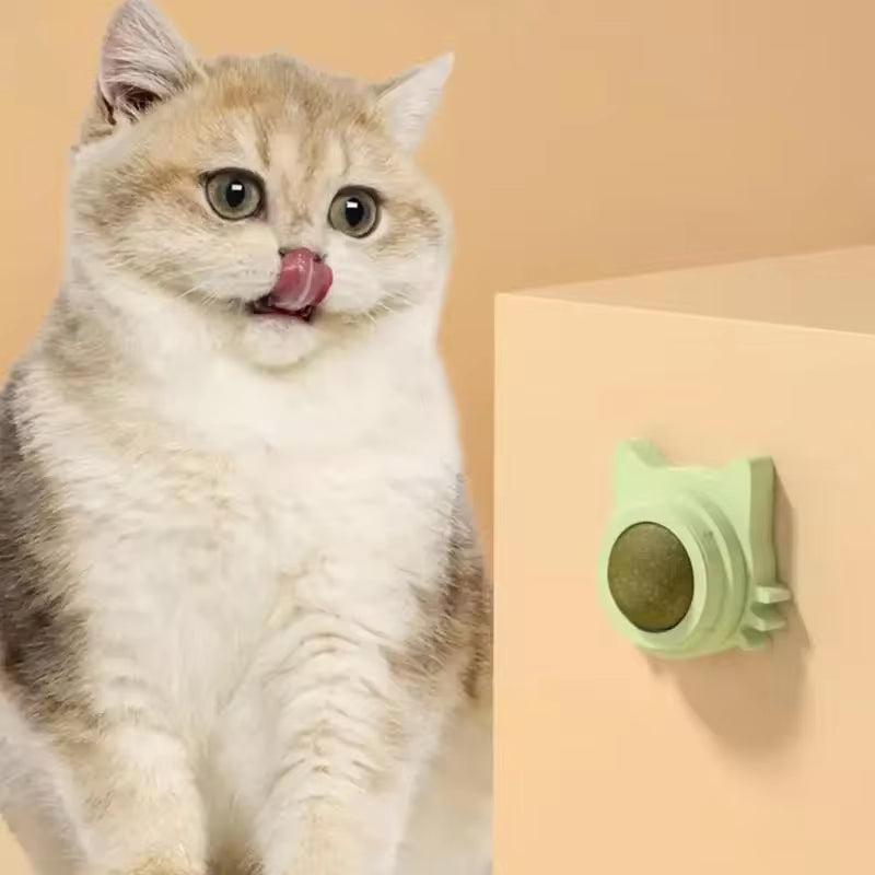 Catnip Ball β Interactive Toy & Teeth Cleaner for Cats