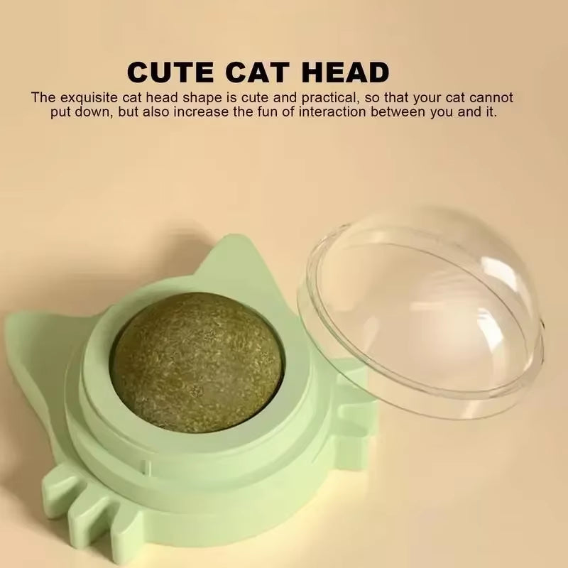Catnip Ball – Interactive Chew Toy & Teeth Cleaner for Cats