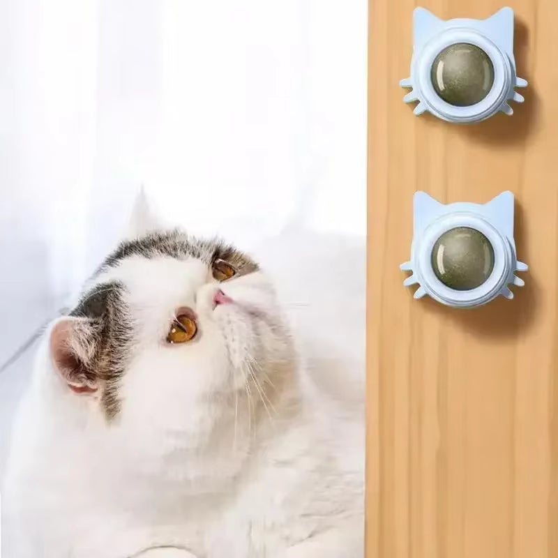 Catnip Ball – Interactive Chew Toy & Teeth Cleaner for Cats