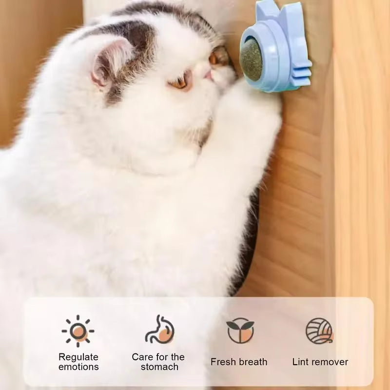 Catnip Ball β Interactive Toy & Teeth Cleaner for Cats
