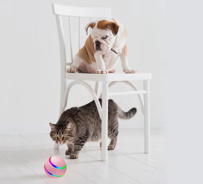 Interactive LED Rolling Ball – Rechargeable Dog Toy
