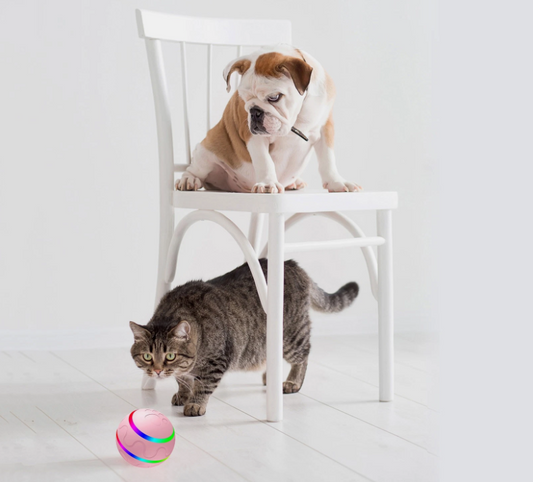 Interactive LED Rolling Ball – Rechargeable Dog Toy