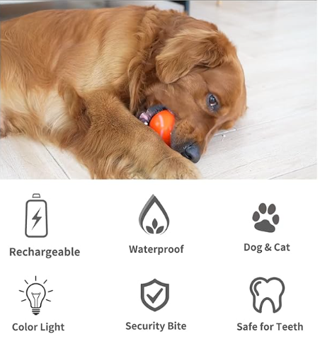 Interactive LED Rolling Ball – Rechargeable Dog Toy
